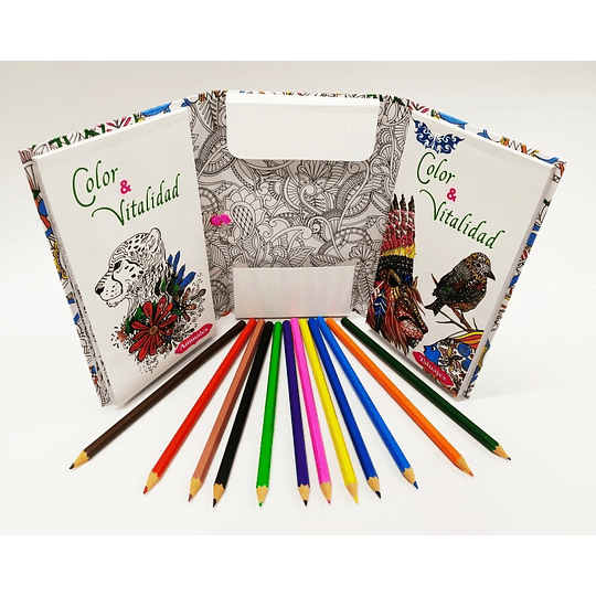 Mandalas Kit De Arte Color Y Vitalidad