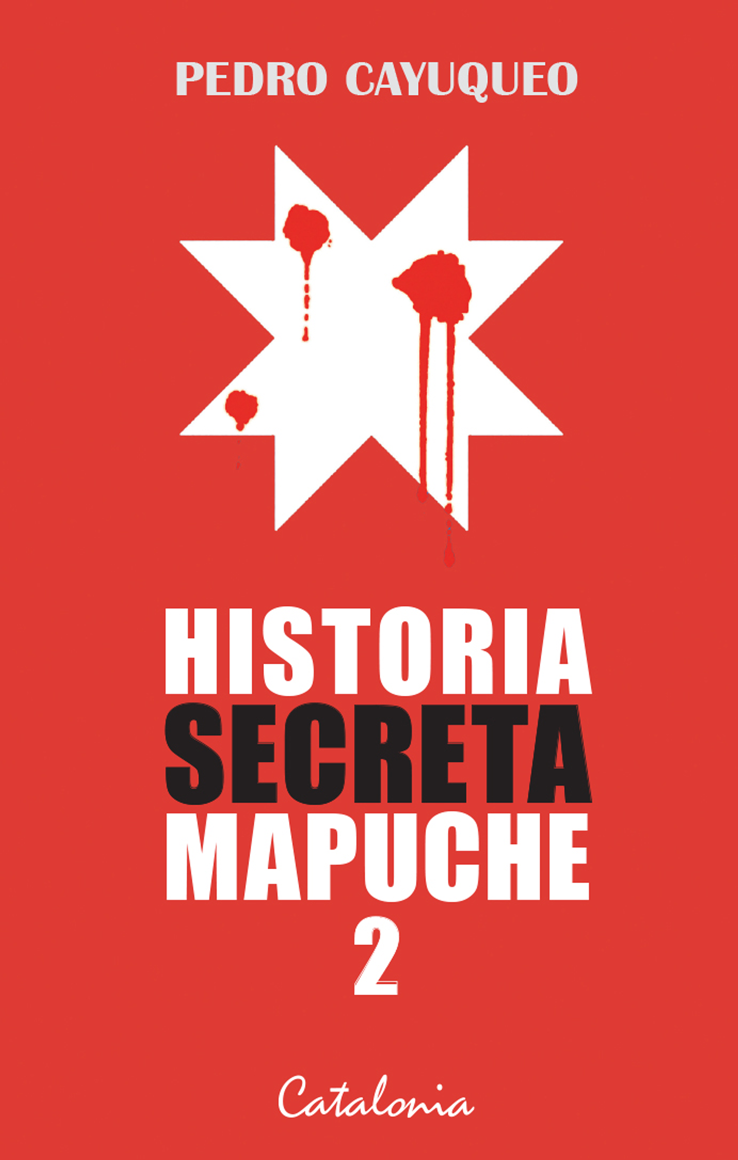 Historia Secreta Mapuche 2 1