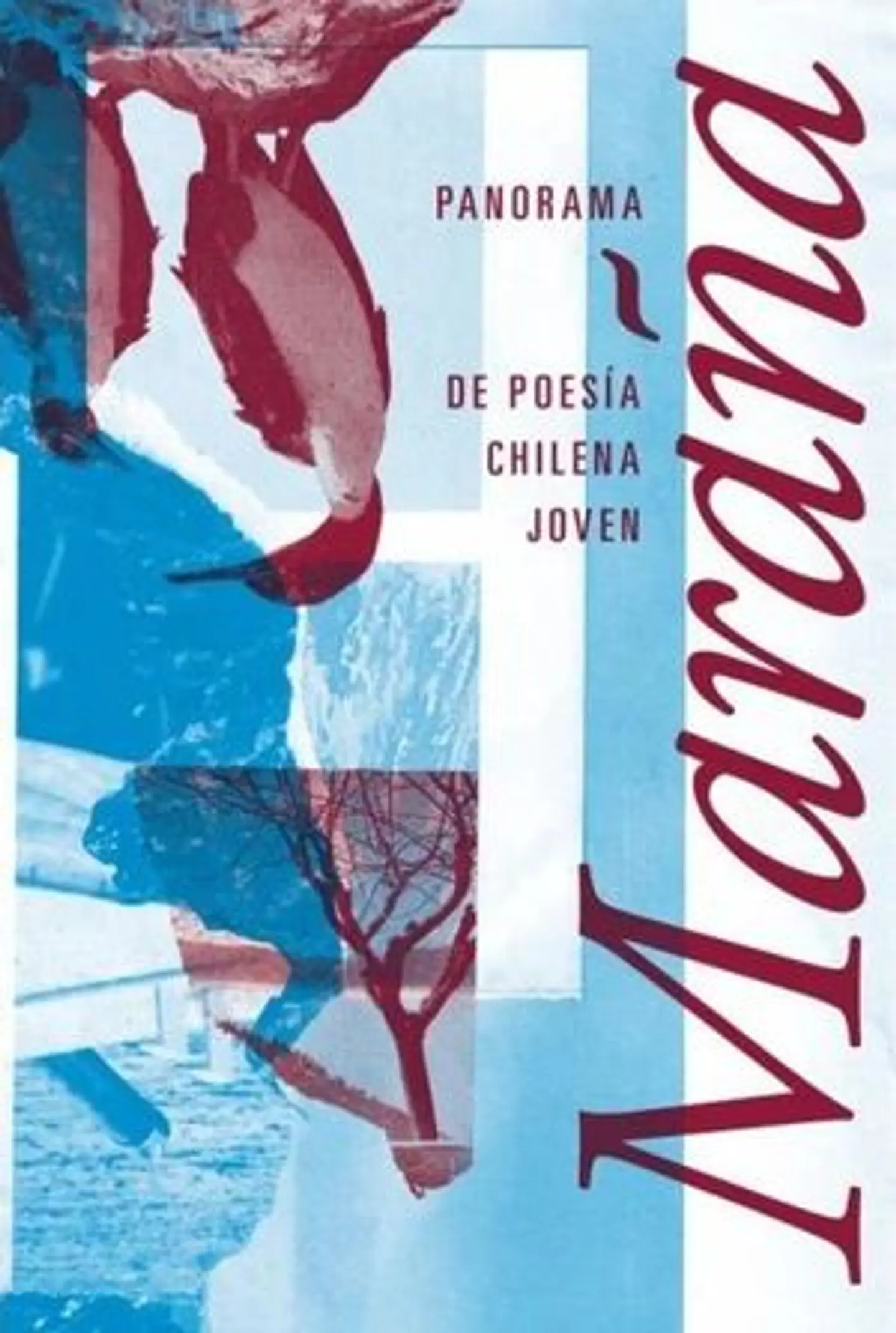 Maraña. Panorama De Poesia Chilena Joven 1