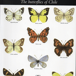 Las Mariposas De Chile