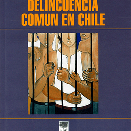 Delincuencia Comun En Chile