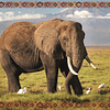 Puzzle Animales De Africa 100 Piezas Elefante