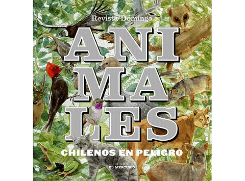 Animales Chilenos En Peligro