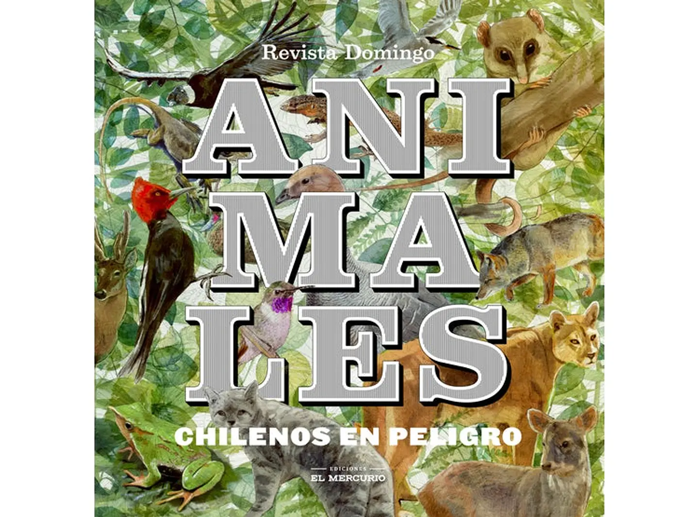 Animales Chilenos En Peligro 1