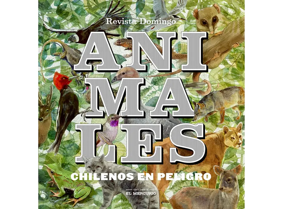 Animales Chilenos En Peligro 1