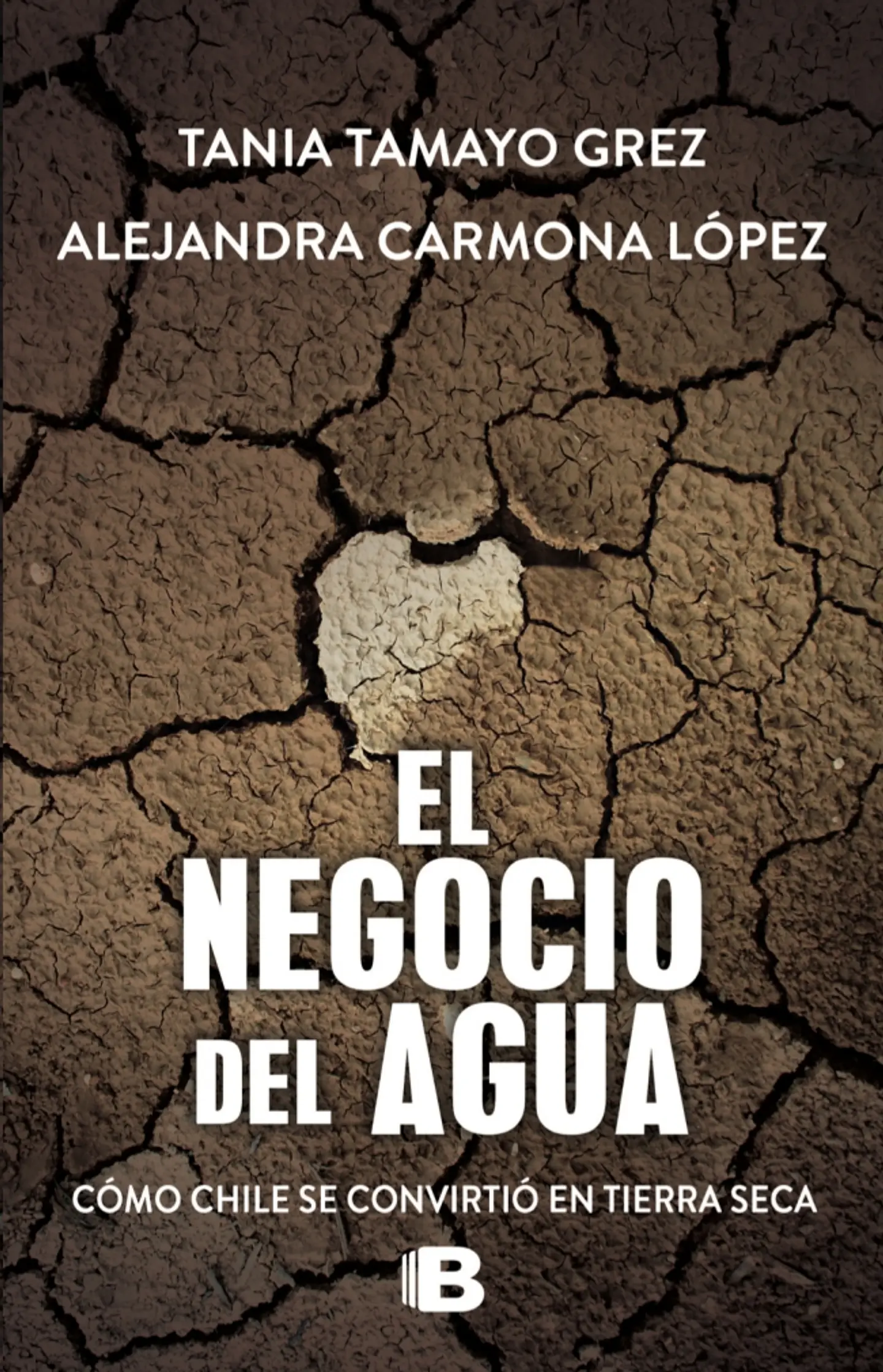 El Negocio Del Agua 1