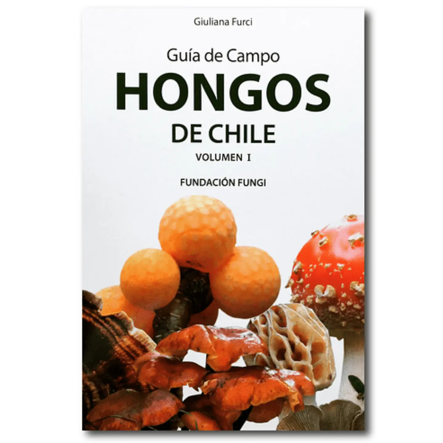 Hongos De Chile Guia De Campo Vol 1 1