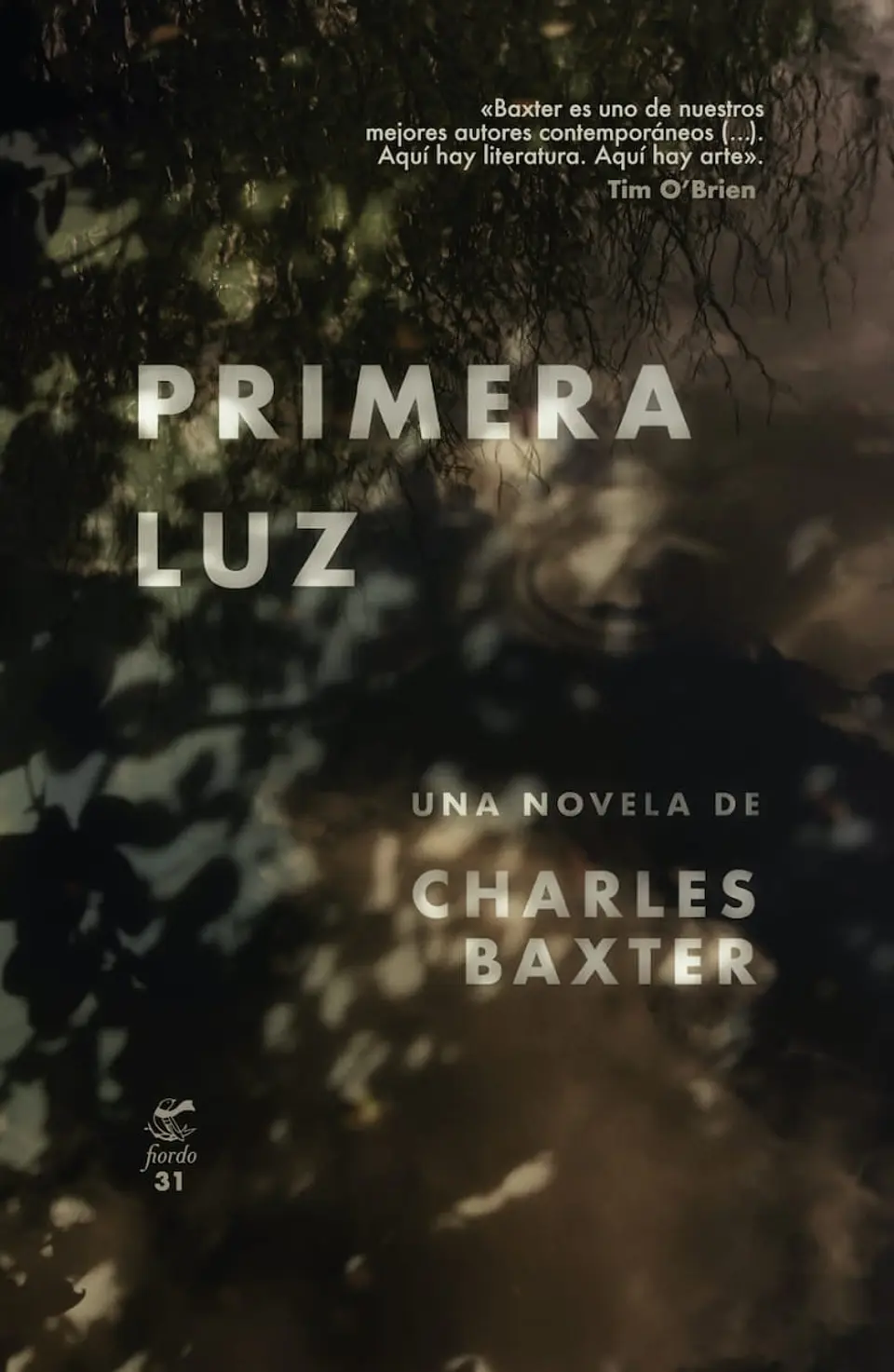 Primera Luz 1