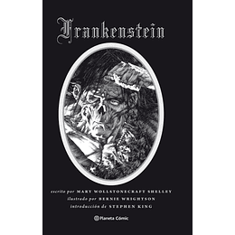 Frankenstein (Novela Grafica)
