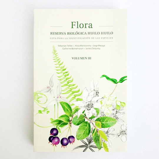 Flora Guia Para La Identificacion De Las Especies (Volumen 3)