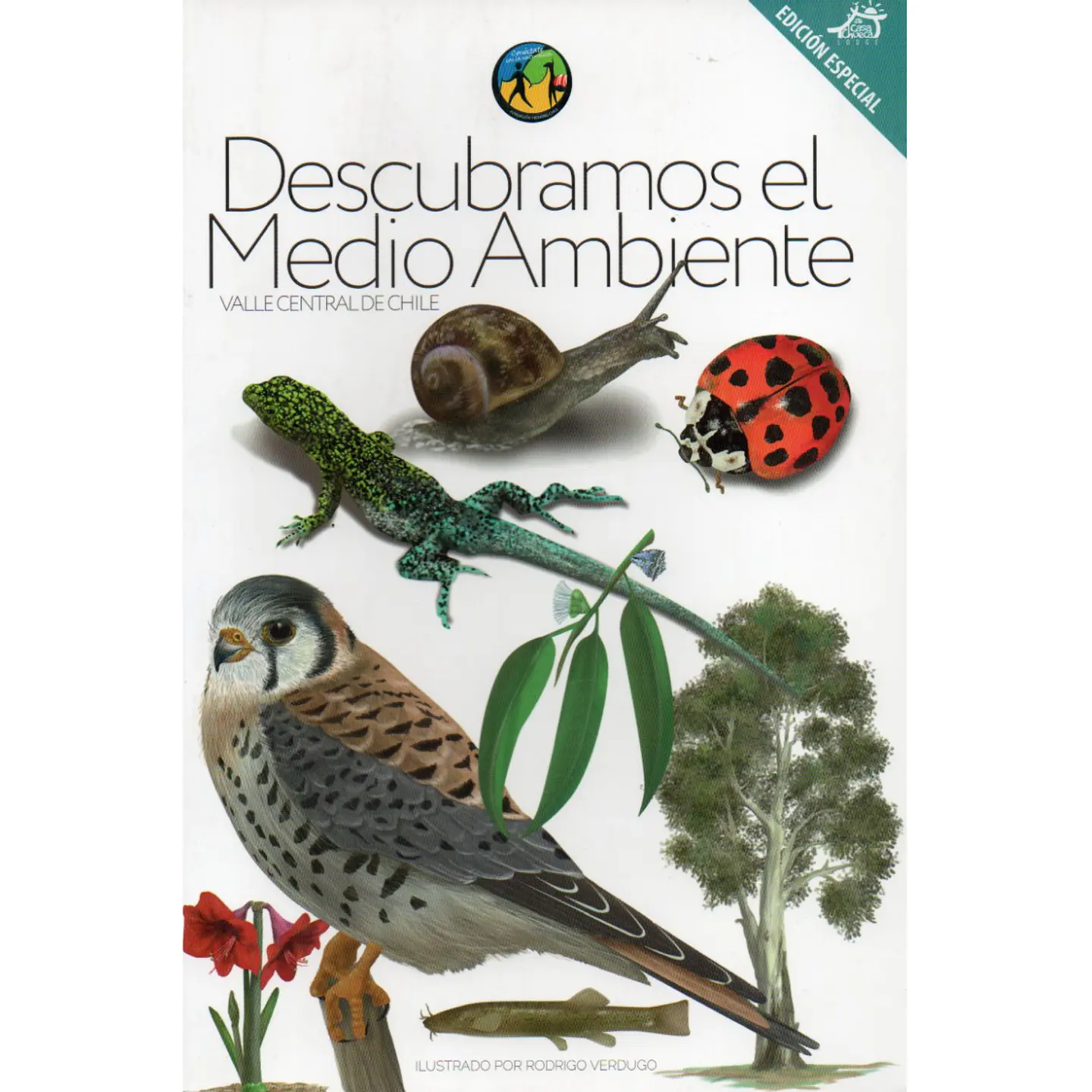 Descubramos El Medio Ambiente 1