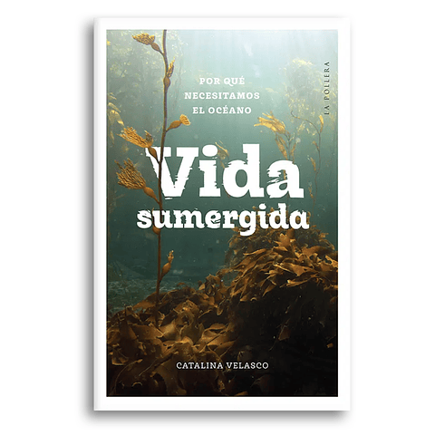 Vida Sumergida: Por Que Necesitamos El Oceano