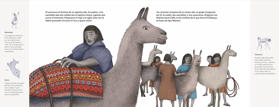 El Niño Del Cerro El Plomo 2