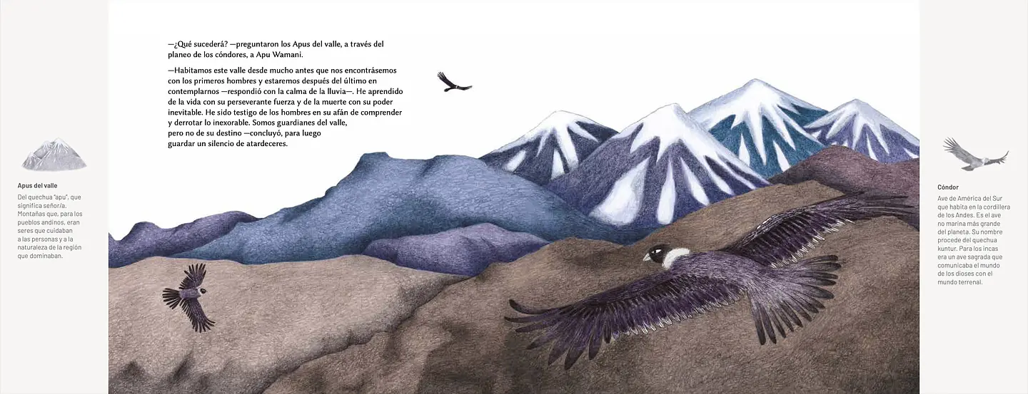 El Niño Del Cerro El Plomo 3