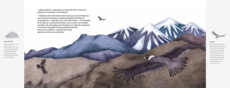 El Niño Del Cerro El Plomo 3