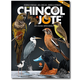 De Chincol A Jote 2 Aves Chilenas Imprescindibles