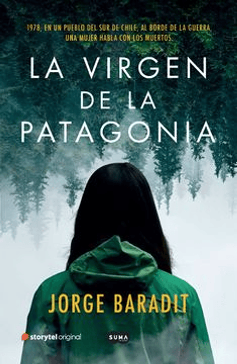 La Virgen De La Patagonia