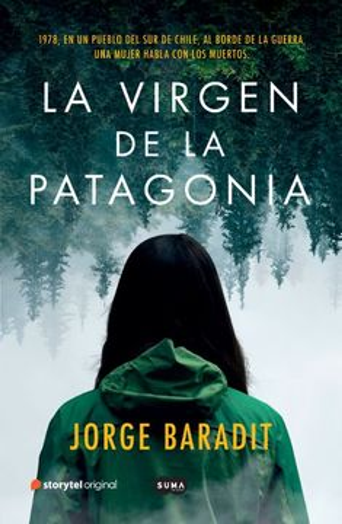 La Virgen De La Patagonia 1