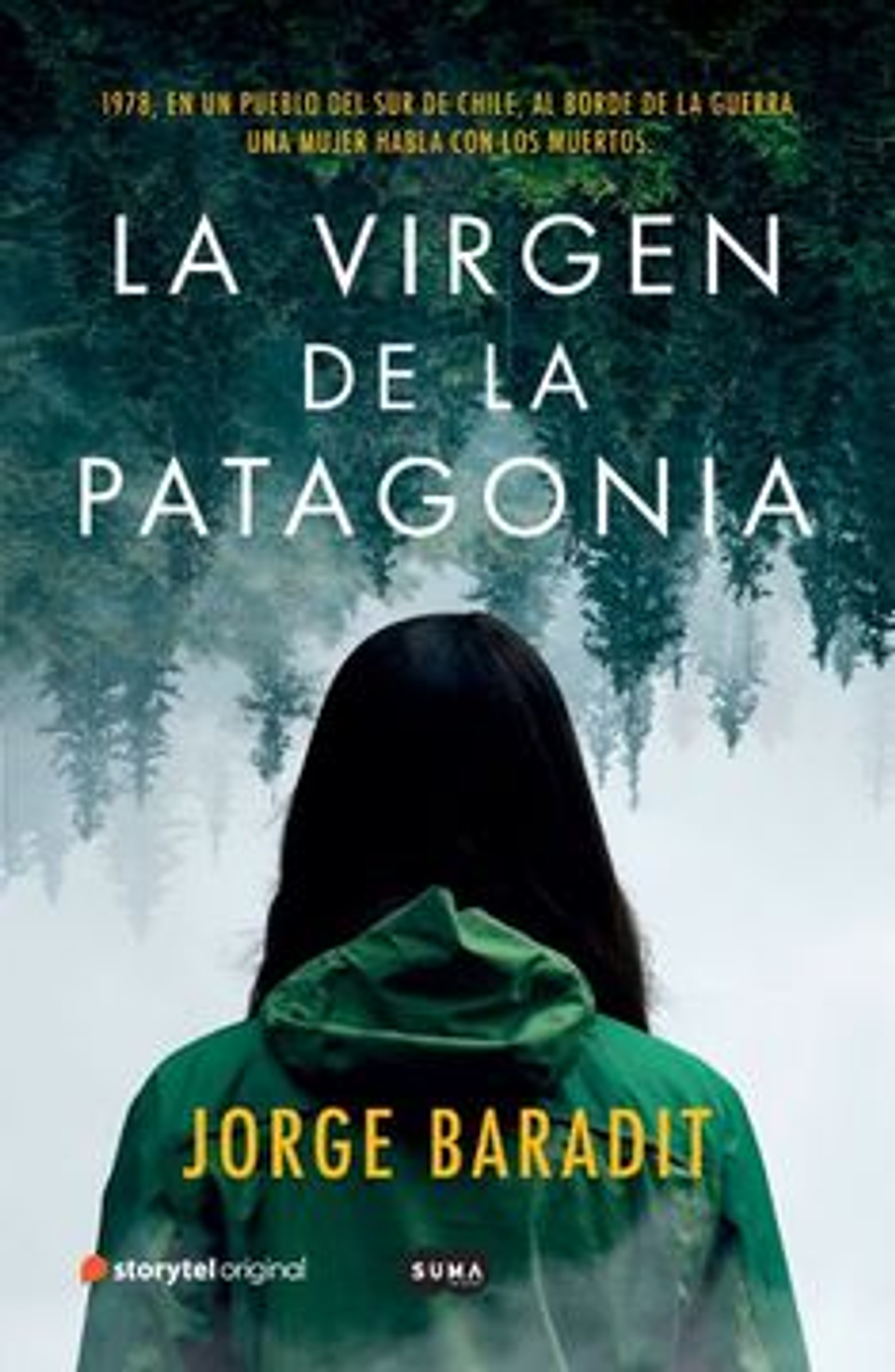 La Virgen De La Patagonia 1