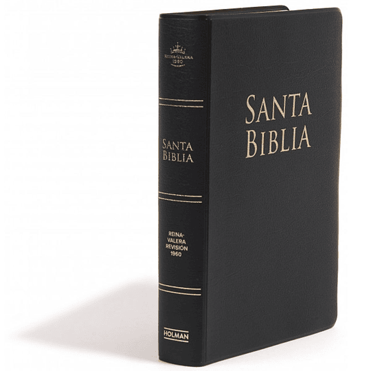 Santa Biblia Reina Valera 1960 Letra Grande Negra