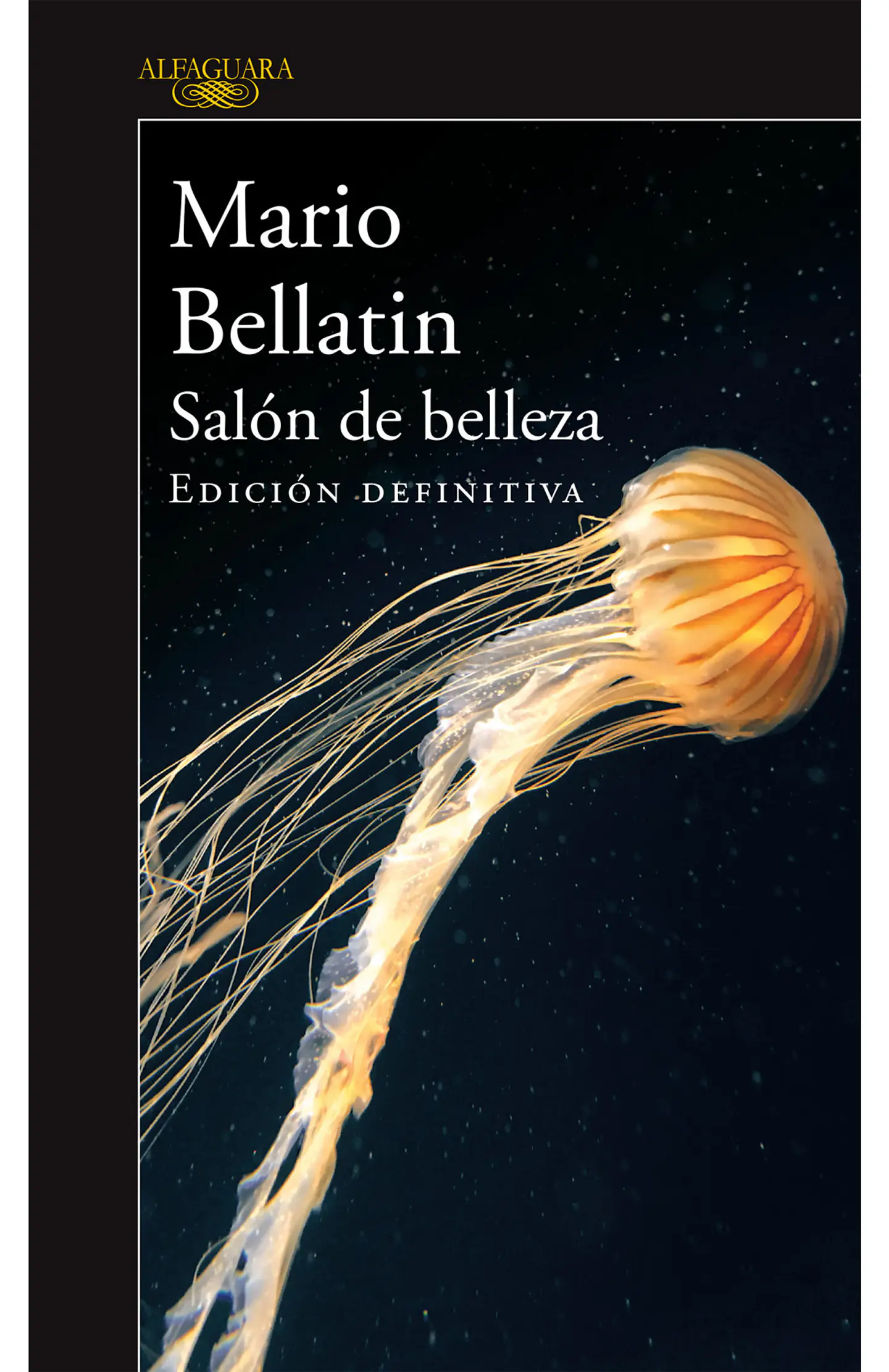 Salon De Belleza 1