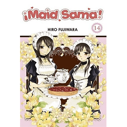 Maid Sama 14 