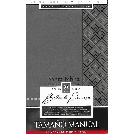 Biblia De Promesas Rvr-1960 Tamaño Manual Letra Grande Con Cierre Gris