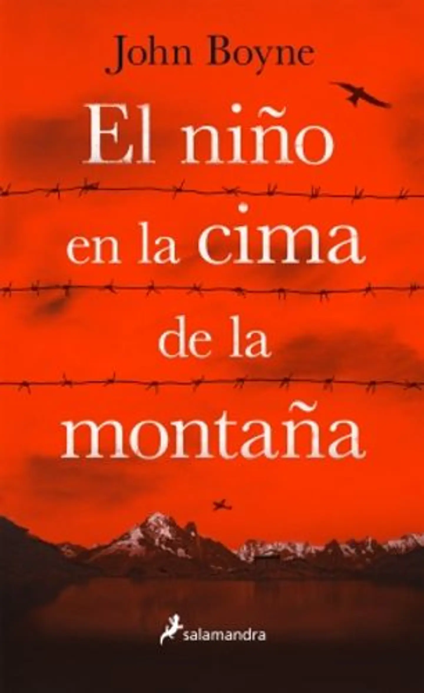 El Niño En La Cima De La Montaña 1