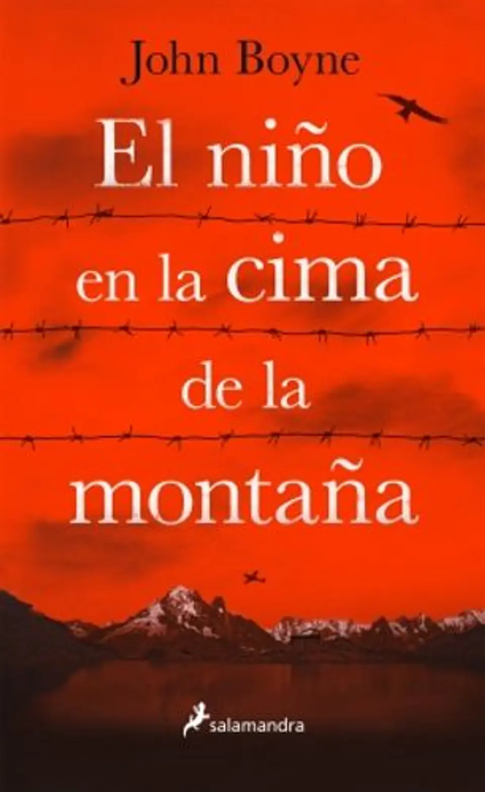 El Niño En La Cima De La Montaña 1