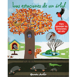 Las Estaciones De Un Arbol