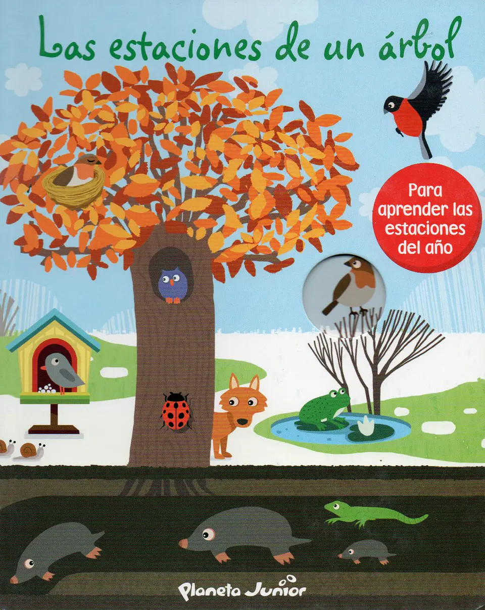 Las Estaciones De Un Arbol 1