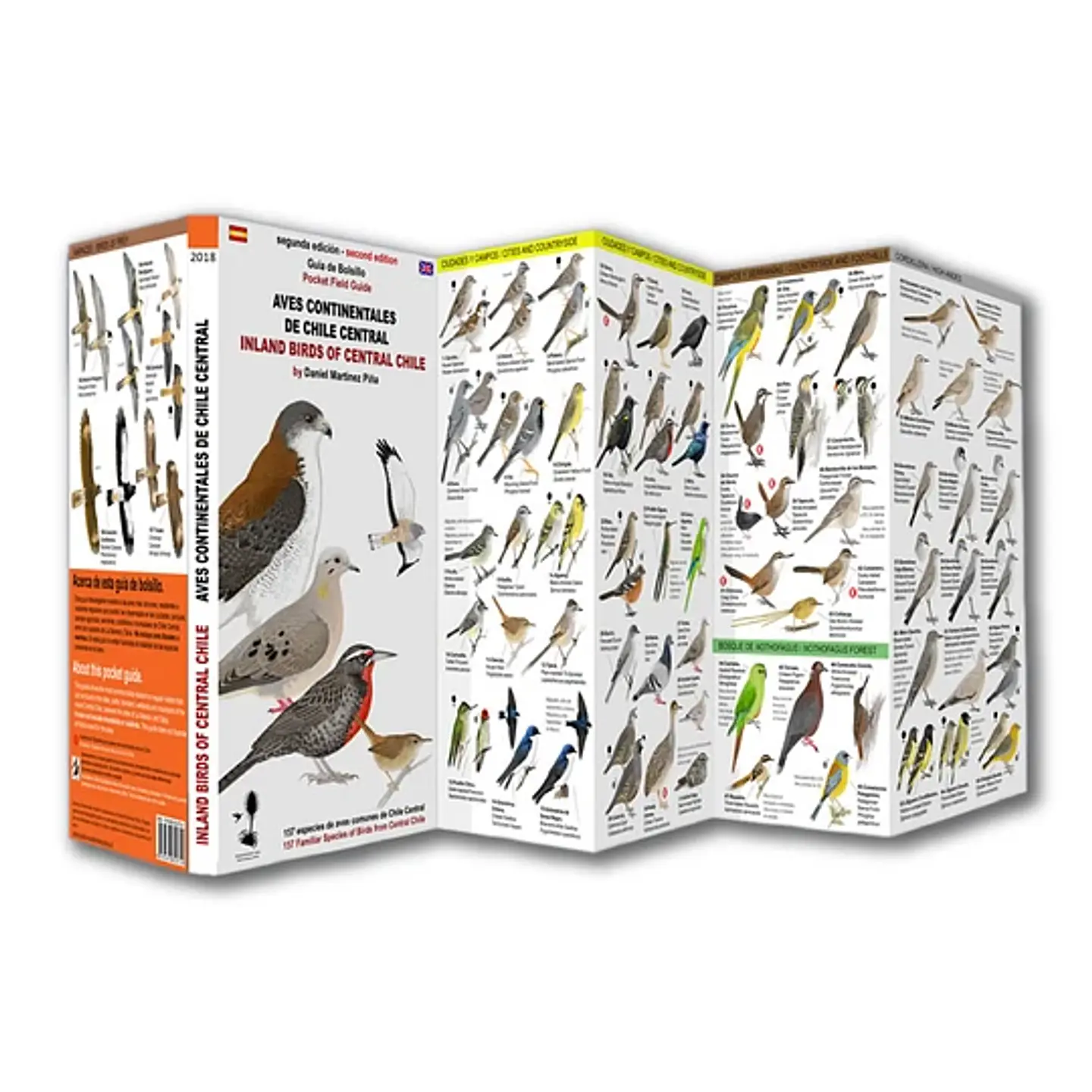 Guia Desplegable Aves Continentales De Chile Central 1