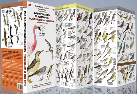 Guia Desplegable Aves Continentales Del Norte De Chile