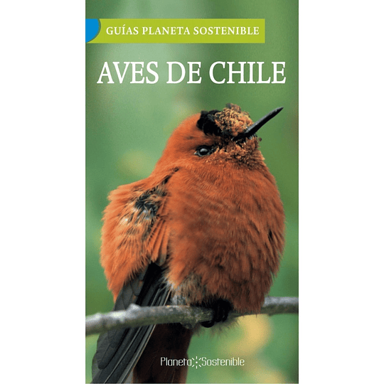 Guia Desplegable Aves De Chile