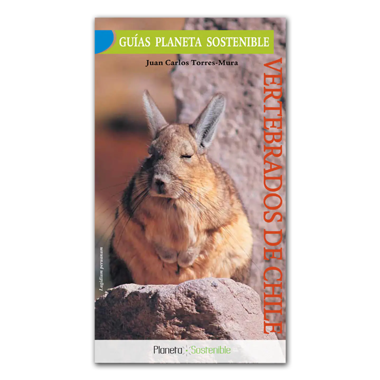 Guia Desplegable Vertebrados De Chile 1