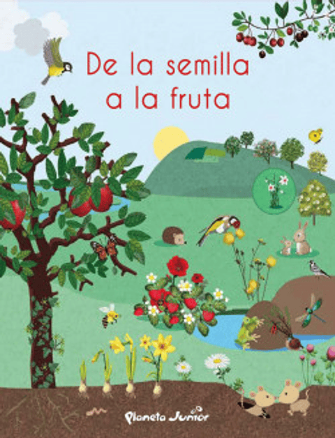 De La Semilla A La Fruta
