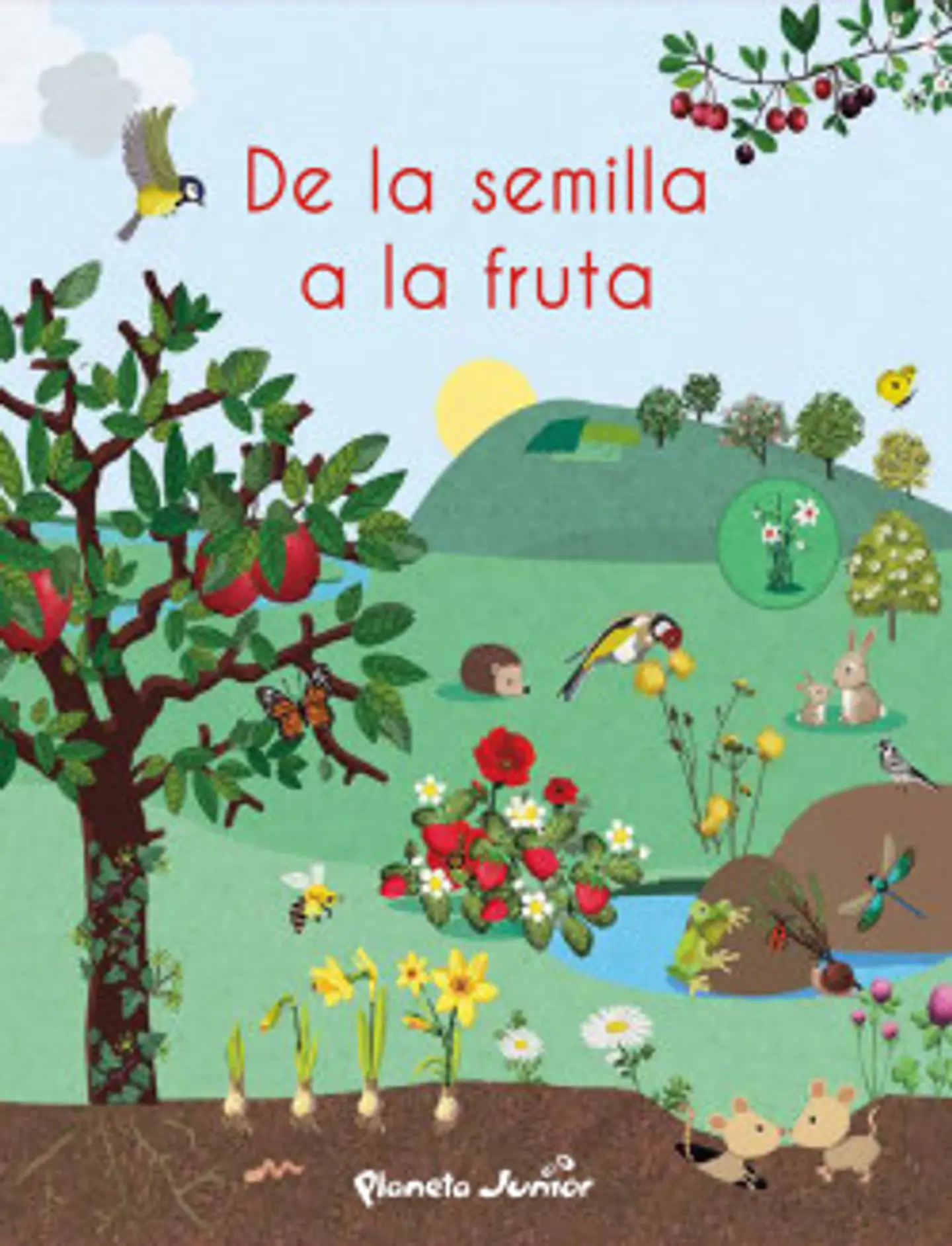 De La Semilla A La Fruta 1