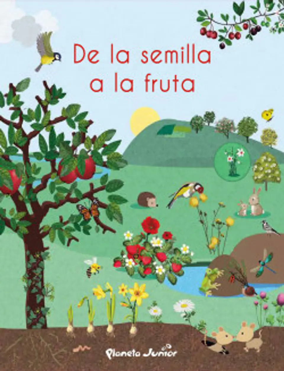 De La Semilla A La Fruta 1