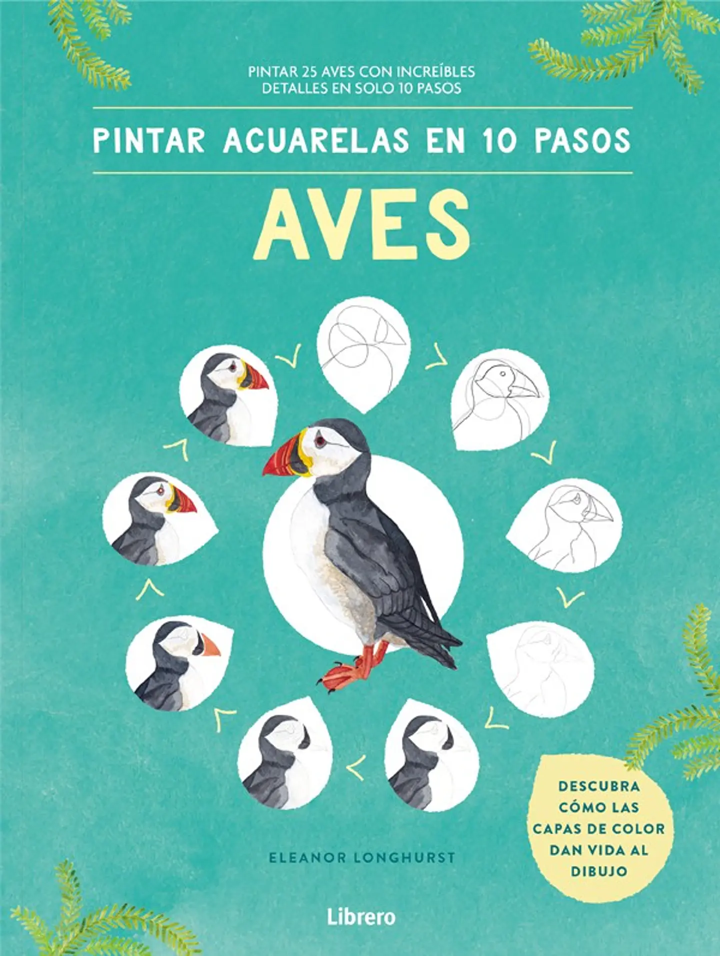 Pintar Acuarelas En 10 Pasos Aves De Todo El Mundo 1