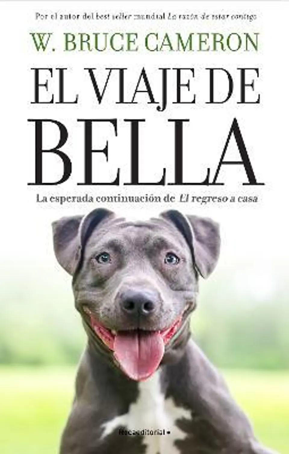 La Razon De Estar Contigo. El Regreso A Casa 2. El Viaje De Bella.  1