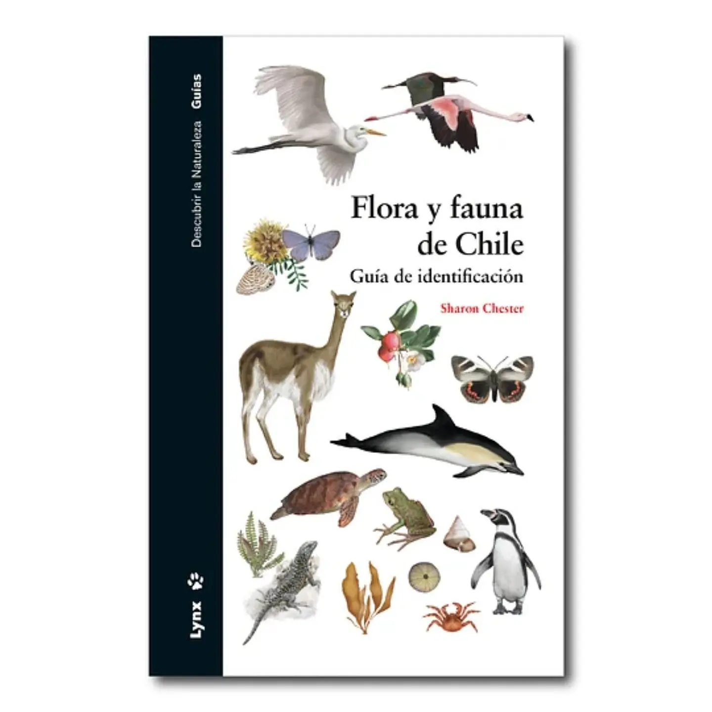 Flora Y Fauna De Chile Guia De Identificacion 1