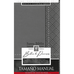 Biblia De Promesas Rvr-1960 Tamaño Manual Letra Grande Con Indice Cierre Gris