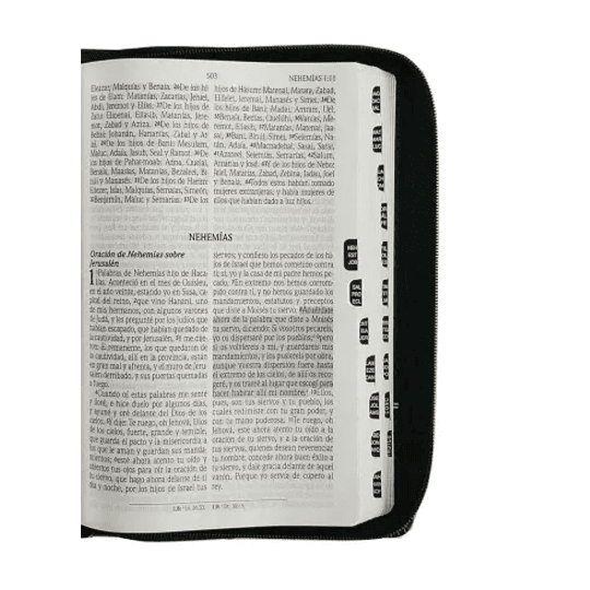 Biblia De Promesas Rvr-1960 Tamaño Manual Letra Grande Con Indice Cierre Negra