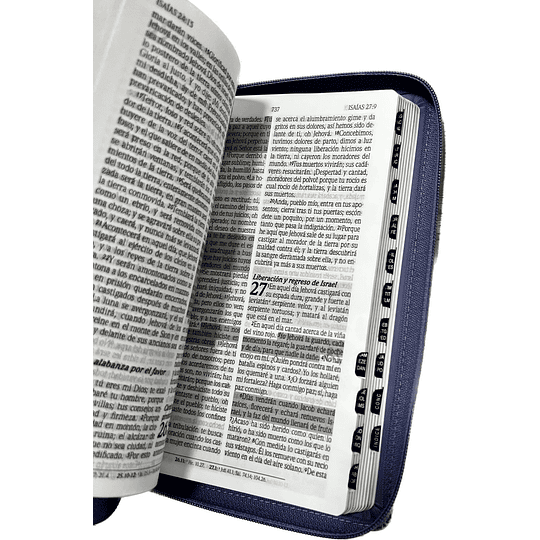 Biblia Reina Valera 1960 Edicion De Las Promesas Tamaño Manual Letra Grande Con Indice Cierre Lavanda