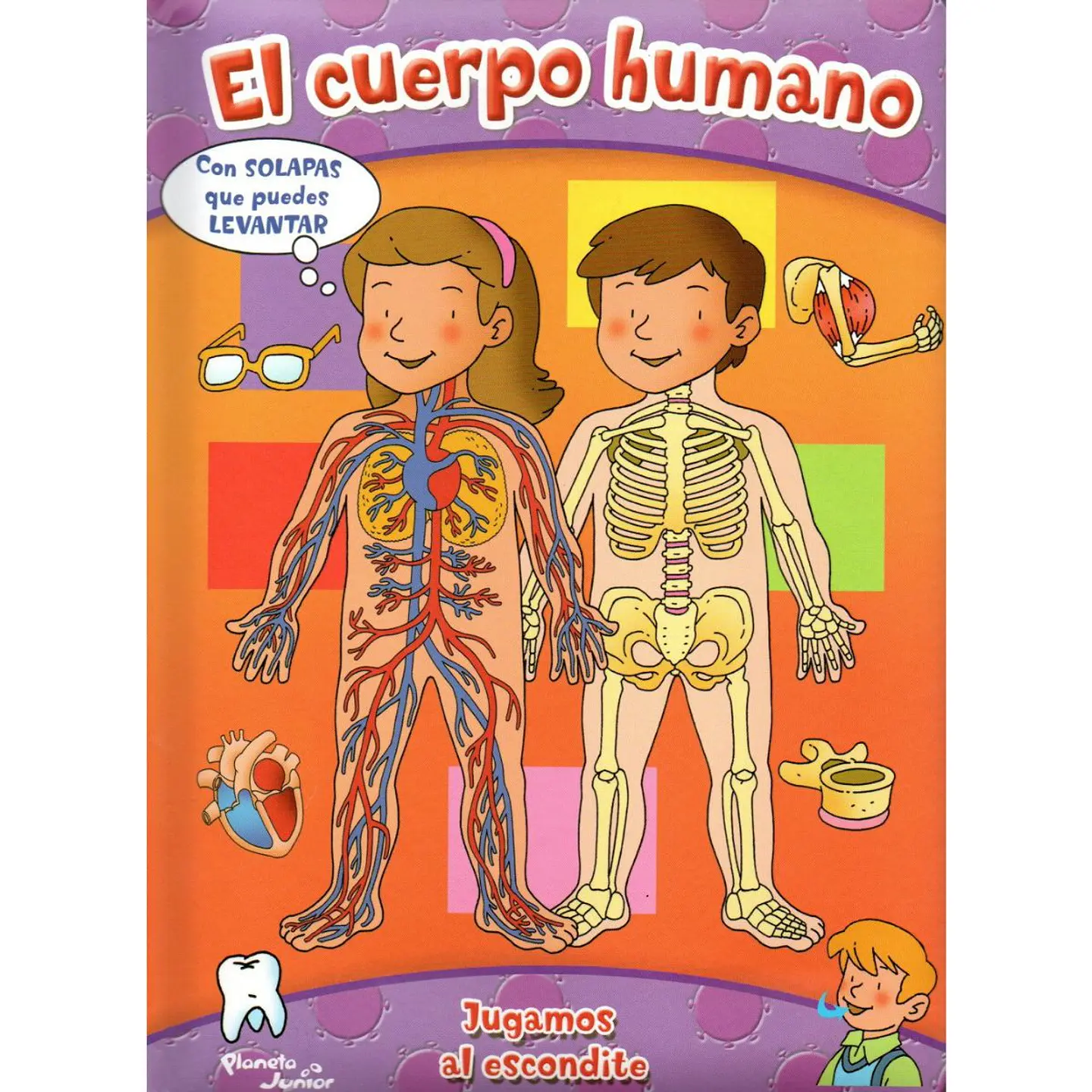 Jugamos Al Escondite - El Cuerpo Humano 1