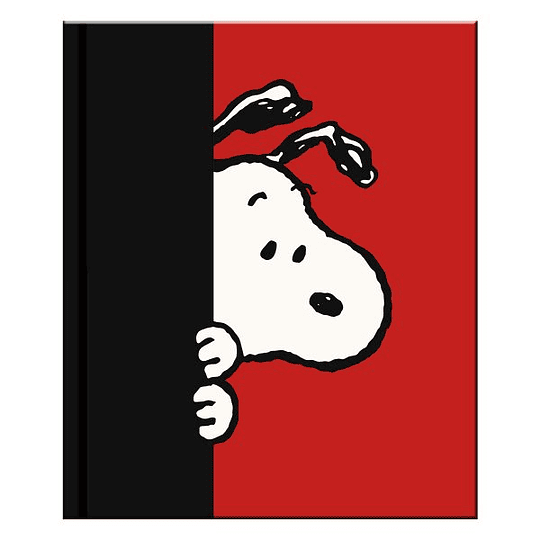 Set De Mini Cuadernos Con Caja - Snoopy (Peanuts)