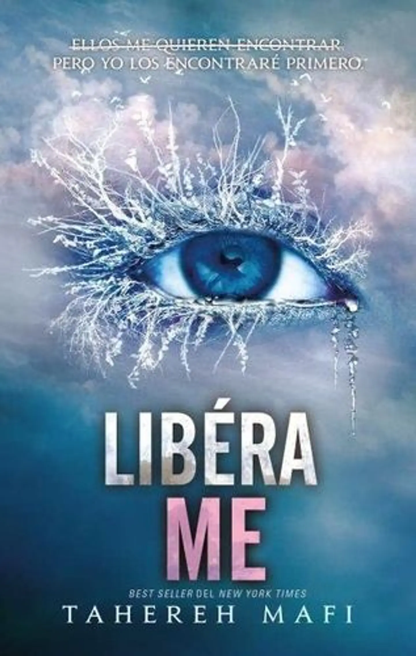 Destrozame 2. Liberame 1