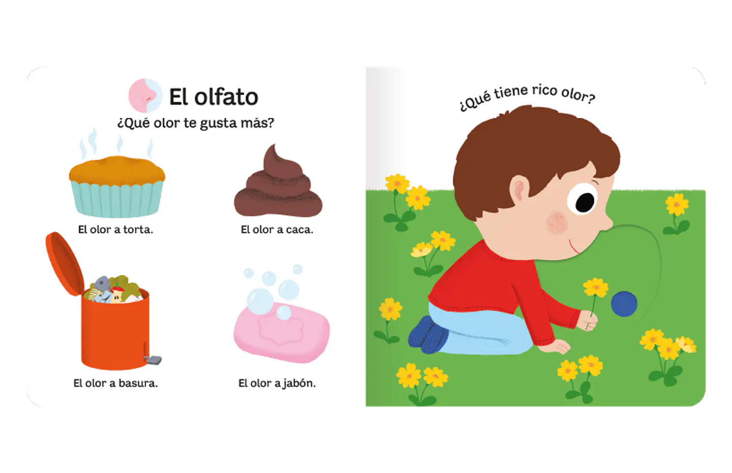 Pequeños Curiosos -  Mi Libro De Los 5 Sentidos 2