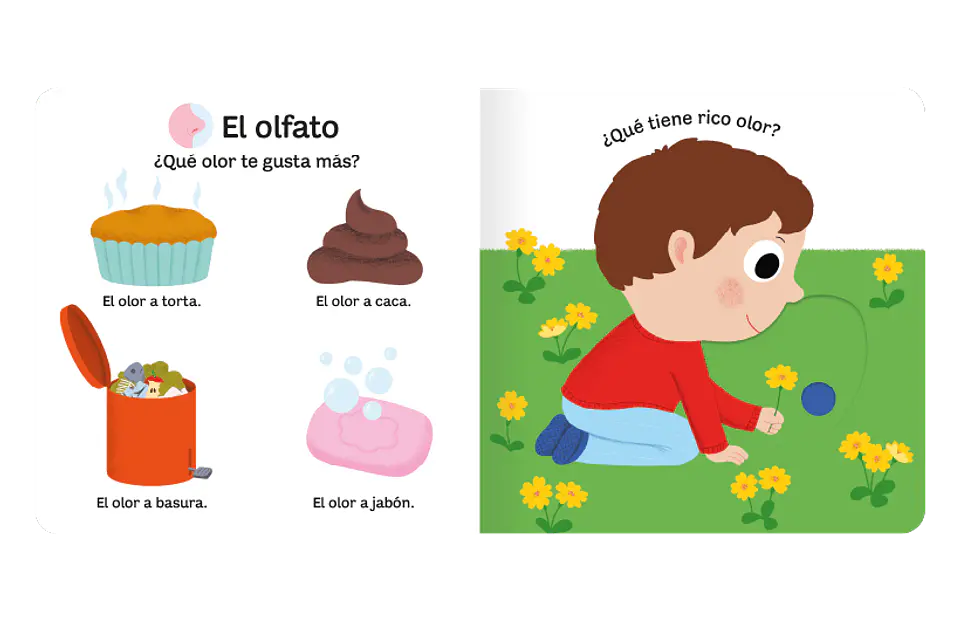 Pequeños Curiosos -  Mi Libro De Los 5 Sentidos 2