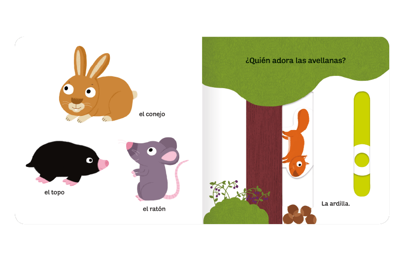 Pequeños Curiosos -  Mi Libro De Los Insectos 3